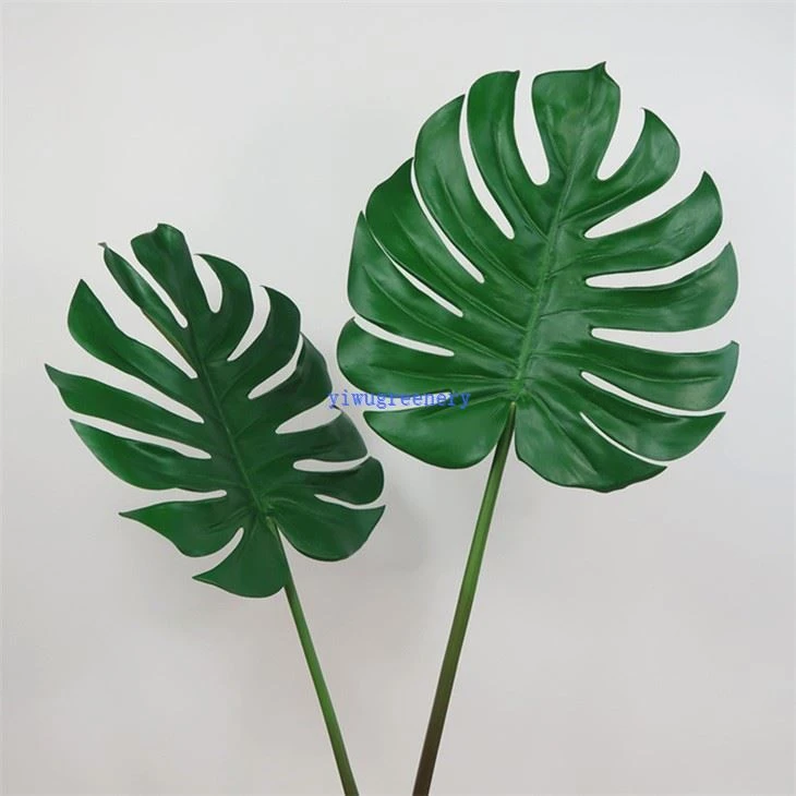 Monstera leaf decor