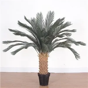 Artificiell Cycas Revoluta