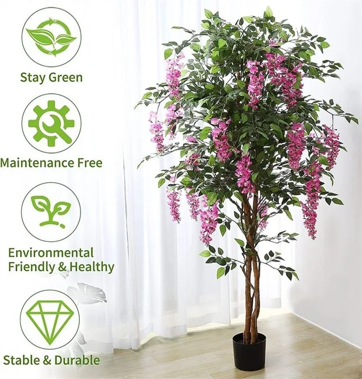 chinese wisteria bonsai